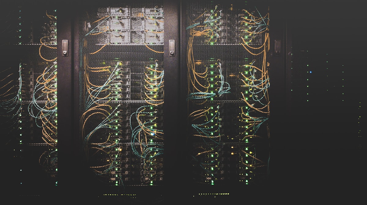 Custom Software vs SaaS: Which Is More Cost-Effective for Your Company?
